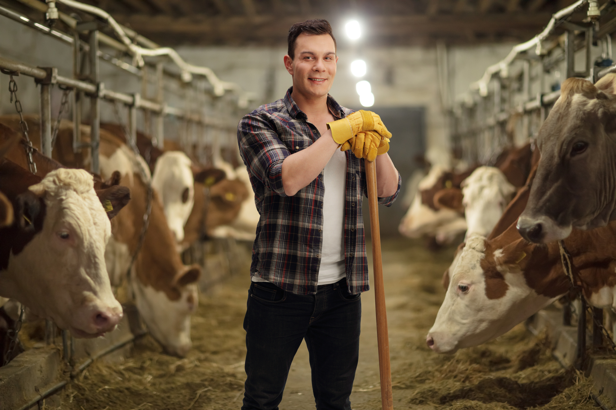 What are The Job Prospects for Agricultural Careers?