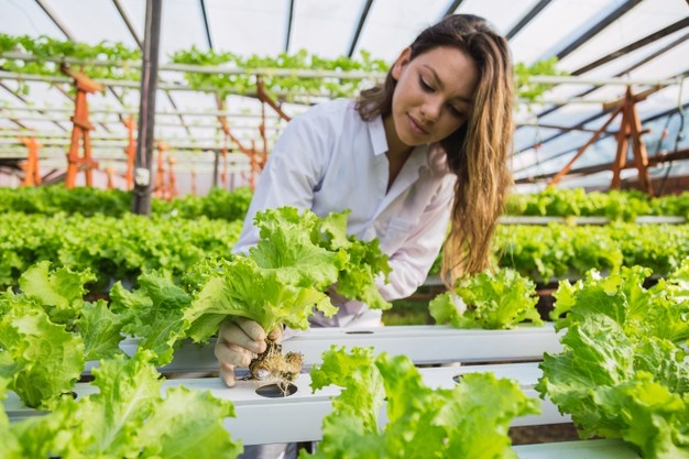 What Are The Benefits Of A Career In Agriculture?