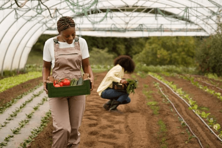How Can I Prepare For A Career in Agriculture?