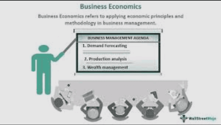 Business Economics and Corporate Research Guide