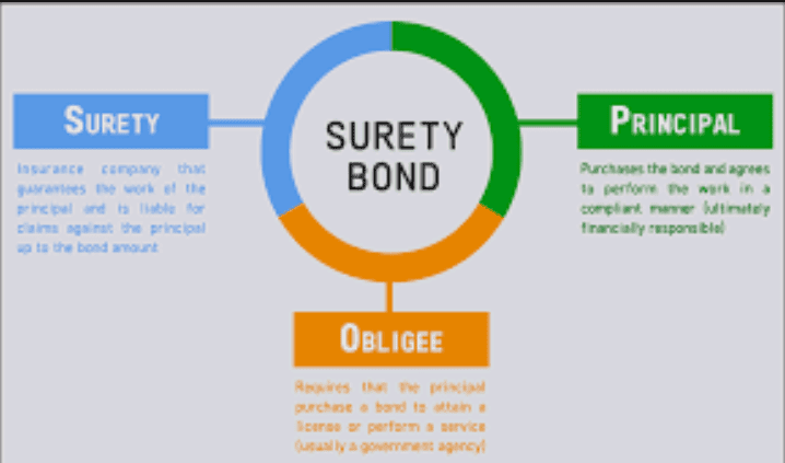 Surety Insurance