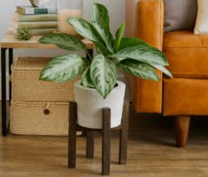 DIY plant stand 