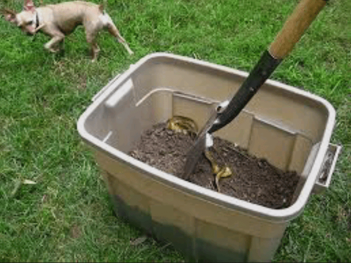 Compost bin DIY