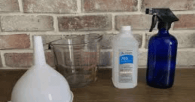 what kills bed bugs instantly DIY