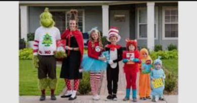 cindy lou who costume DIY