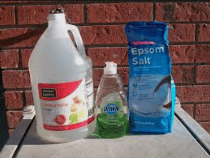 DIY weed killer