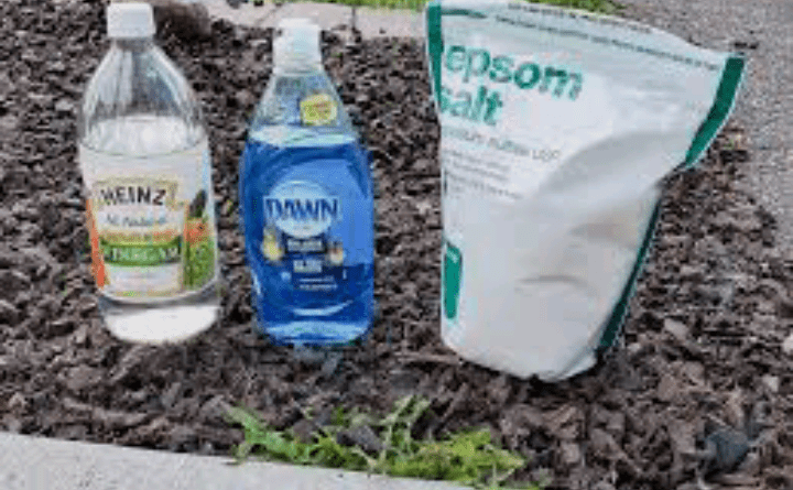 DIY weed killer