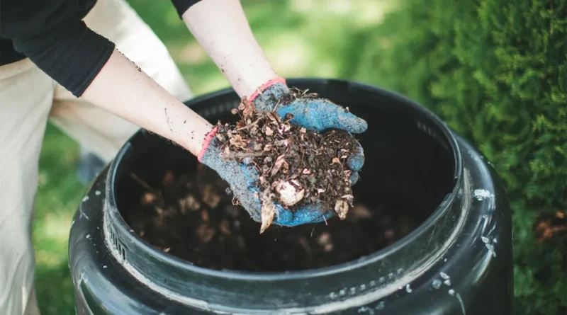 Complete Composting Guide for Beginners