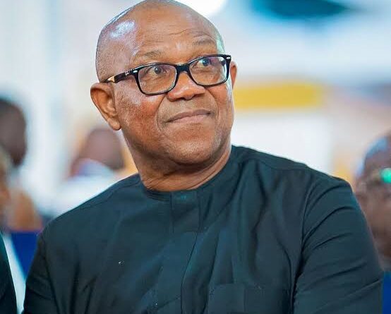 Demolition of Houses for Presidential Fleet is Inconsiderate Project – Peter Obi