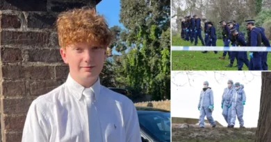 Boy, 16, Stabbed to Death on Primrose Hill on New Year’s Eve is Named