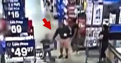 Video shows moment child kidnapper tried to snatch 4-year-old boy from Walmart in Florida