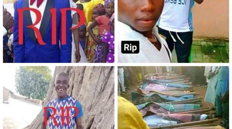 Borno: Boko Haram kills 12, Abducts Woman in Chibok Communities
