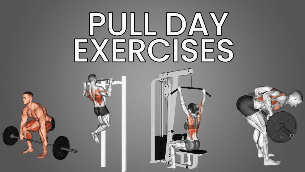 The Ultimate Pull Day Workout Guide