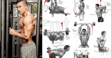 Mastering the Art of Chest and Triceps Workouts