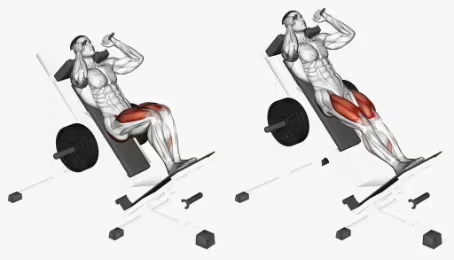 Tips for Maximizing Your Leg Workouts at the Gym