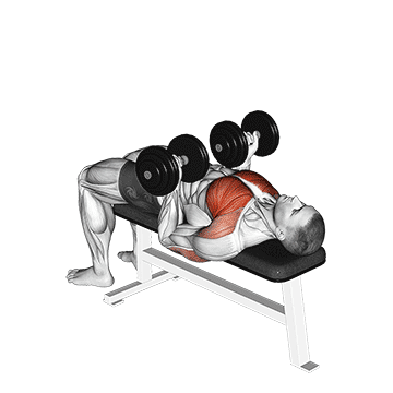 Maximizing Your Workouts with the Dumbbell Chest Press