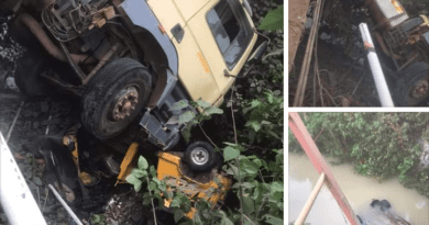Two Die as Car Plunges Into Ogun River (video)