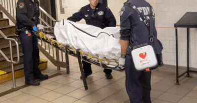 Commuter killed after being pushed in front of moving train in unprovoked attack; suspect arrested (video)