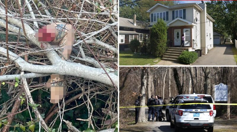 Four arrested as severed body parts of man and woman are discovered in NewYork park