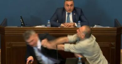 MP punched in the face as Georgian politicians fight in parliament (video)