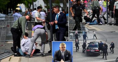 Slovakian Prime Minister in life threatening condition after being shot by a 71-year-old assassin (photos/videos)