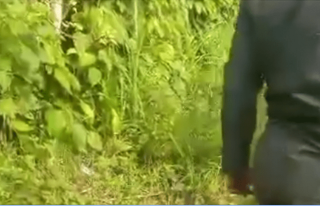 Invaders from Cross River kill woman in Abia community (video)