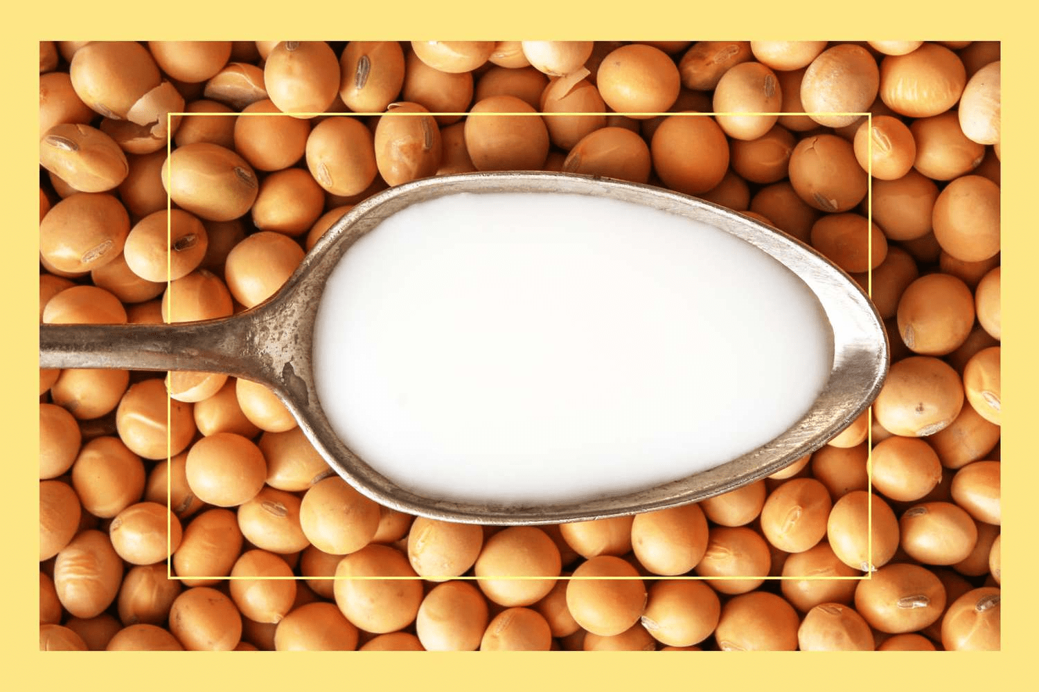 Soya Milk: Nutrition, Facts and Health Benefits