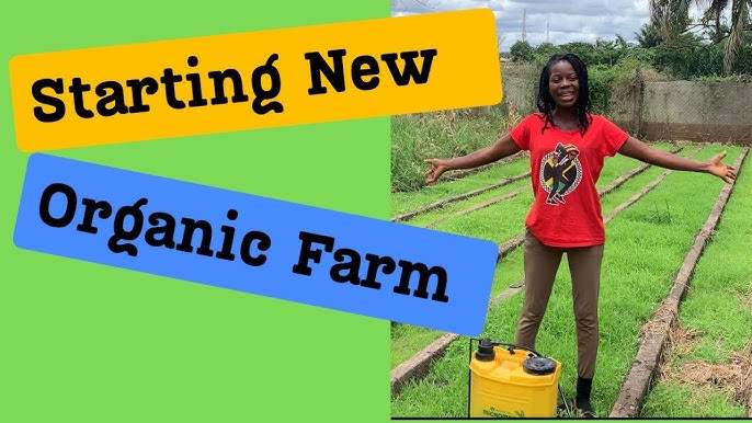 How to Start an Organic Farm How to Start an Organic Farm