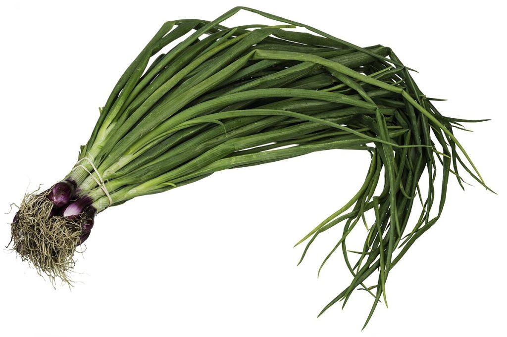 Green onions 