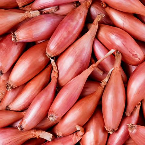 Shallot onions